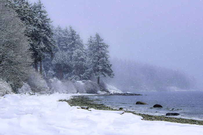 Winter Beach