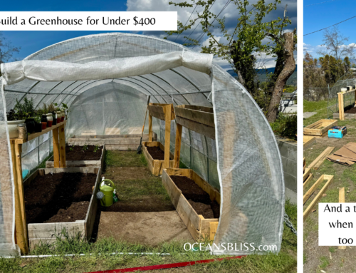 How to Build A Greenhouse for Under $400