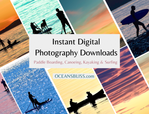 Get Ready for Summer:  Digital Image Downloads