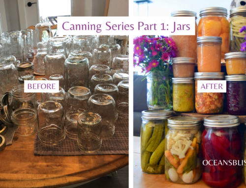 Ready, Set, Can! How to Prepare Your Jars for the Season