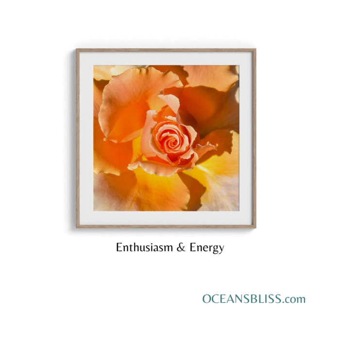 Rose Garden Wall Art Set - Image 3