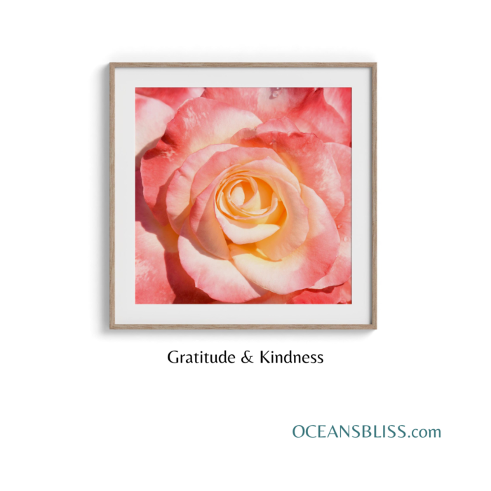 Rose Garden Wall Art Set - Image 4