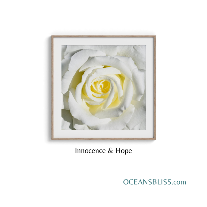 Rose Garden Wall Art Set - Image 2