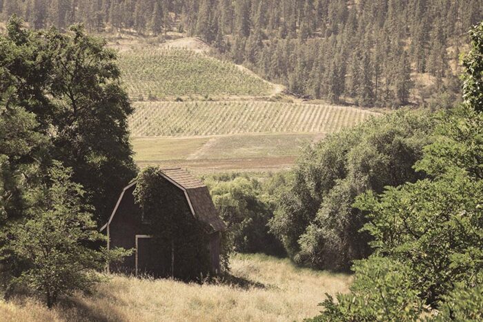 Okanagan Cottagecore