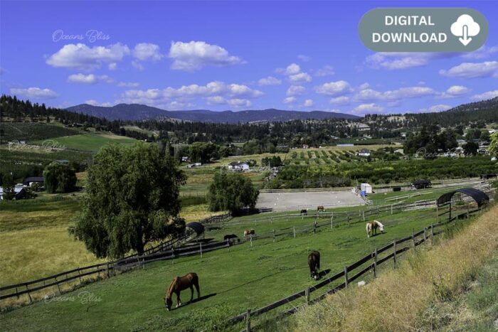 Summerland Farmland