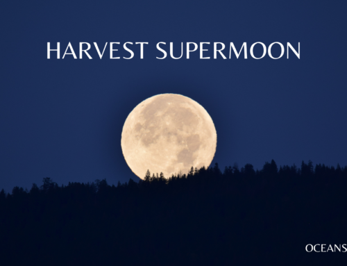 Catching Septembers Harvest Supermoon