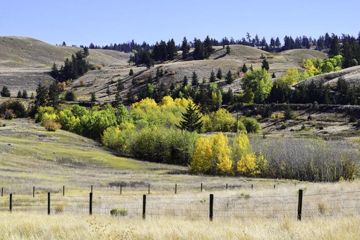 Autumn Highlands