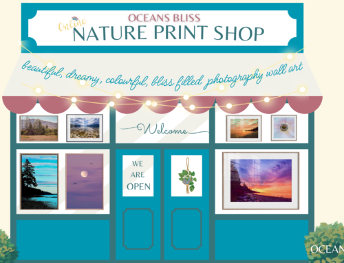 Fresh off the Bliss Press: New Prints, Prices & Sizes!