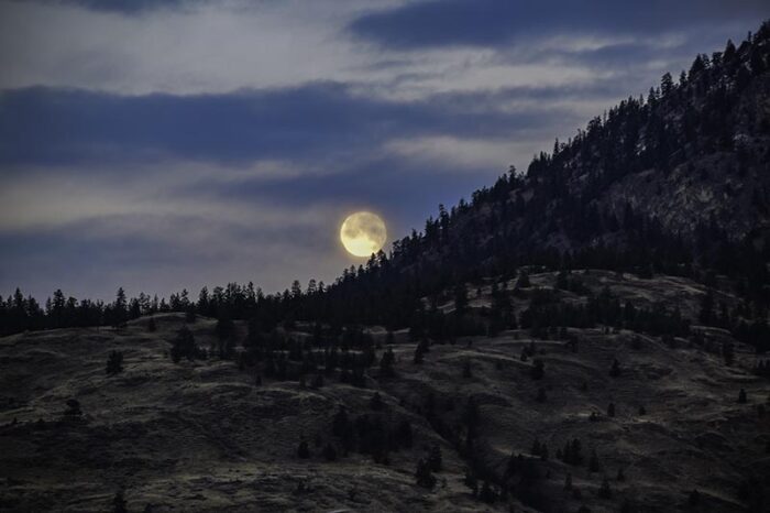 Full Cold Moon