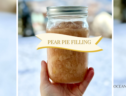 The Coziest Pear Pie Recipe (with a Thick Filling)