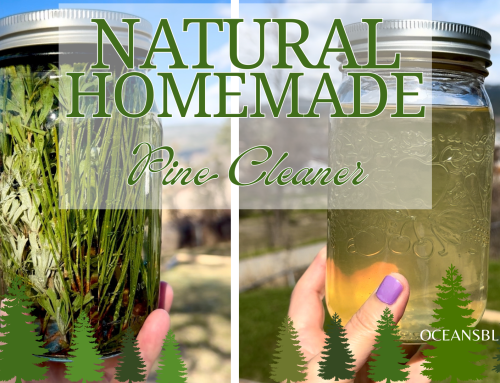 Wildcrafted Natural Pine Cleaner Recipe