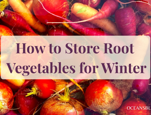 How to Store Root Vegetables for Winter