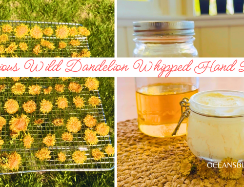 Wild Dandelion Hand Butter for Hardworking Hands