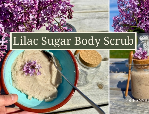 Lilac Sugar Body Scrub – From Winter Skin to Summer Glow