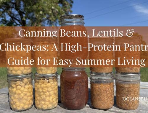 Canning Beans, Lentils & Chickpeas: A High-Protein Pantry Guide for Easy Summer Living