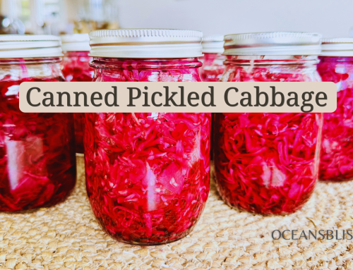 Spring Canned Pickled Cabbage (For Easy Summer Salads)