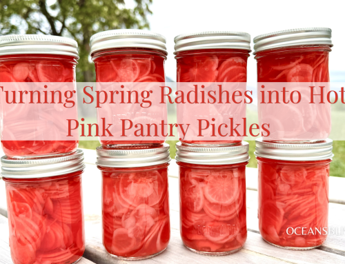 Turning Spring Radishes into Hot Pink Pantry Pickles