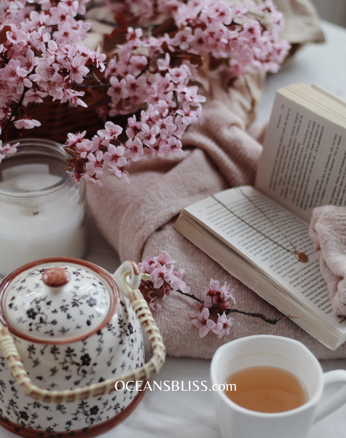 Cozy_Reading_Time