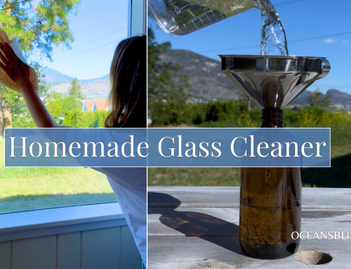 Best Streak Free Window Cleaner Recipe