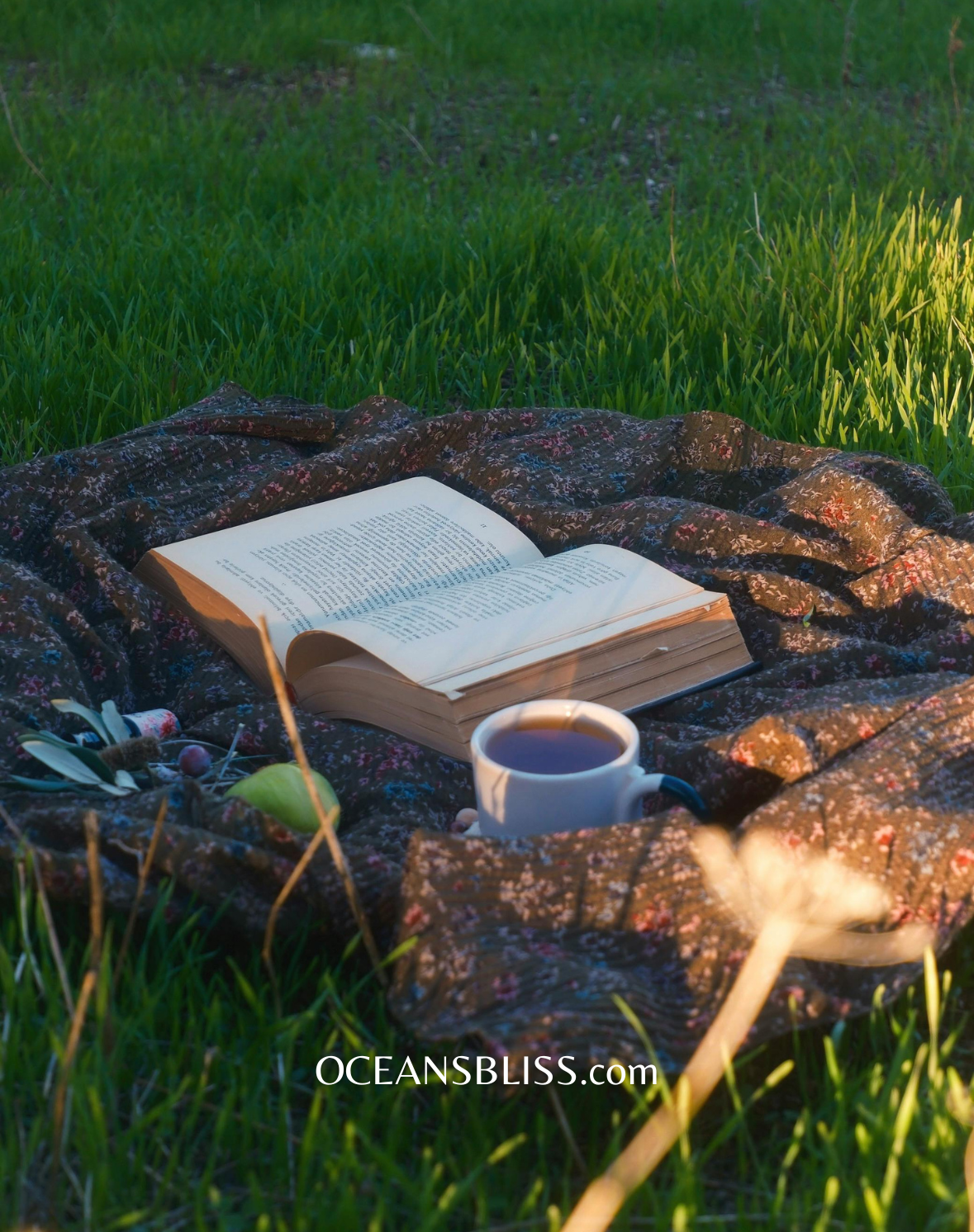 Reading_Cozy
