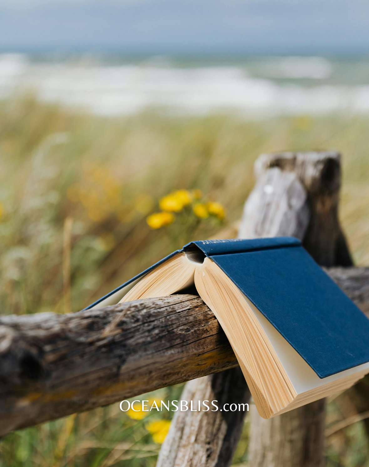 Reading_Relaxation