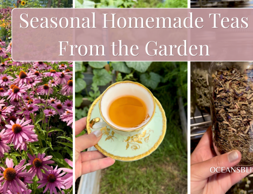 Seasonal Homemade Tea Blends from The Garden