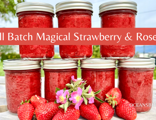 Small Batch Magical Strawberry & Rose Jam