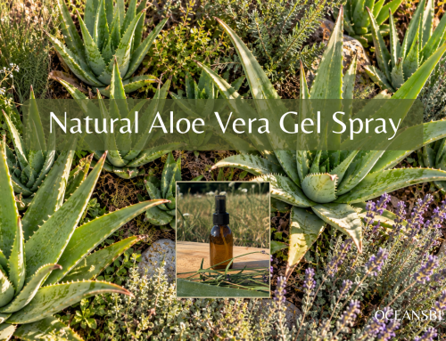 Fresh Aloe Vera Spray Recipe (Made with Just a Few Natural Ingredients)