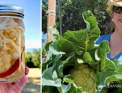 From Garden to Jar: Homemade Spicy Pickled Cauliflower