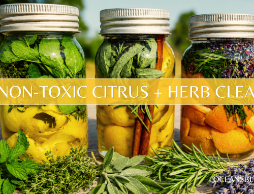DIY Non-Toxic Citrus & Herb Cleaners