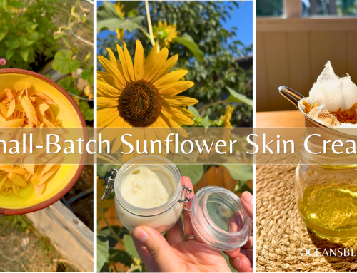 Sunflower Petal Cream: A Small-Batch Garden-to-Skin Recipe